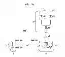 Fig. 07 - Multi-mode optical fiber amplifier