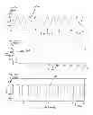 Fig. 09 - IR REFLECTORS FOR SOLAR LIGHT MANAGEMENT
