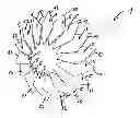 Fig. 01 - LIGHT UNIT FOR A MOTOR VEHICLE