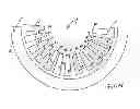 Fig. 06 - LIGHT UNIT FOR A MOTOR VEHICLE