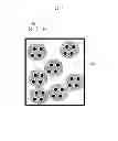 Fig. 03 - Nanophosphor sheet and backlight device