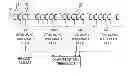 Fig. 01 - Read threshold estimation in analog memory cells using simultaneous multi-voltage sense