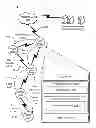 Fig. 01 - Bandwidth management in an advanced metering infrastructure