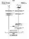 Fig. 02 - Wireless communication device, wireless communication system, wireless communication method and program for randomizing a duration for receiving a probe request