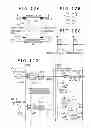 Fig. 13 - WIRELESS TRANSMISSION SYSTEM, WIRELESS COMMUNICATION DEVICE AND WIRELESS TRANSMISSION METHOD