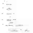 Fig. 01 - Filtering for detection of limited-duration distortion