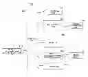 Fig. 01 - METHOD AND APPARATUS FOR RECOGNIZING POLYGON STRUCTURES IN IMAGES