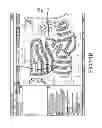 Fig. 124 - SEMI-AUTOMATIC EXTRACTION OF LINEAR FEATURES FROM IMAGE DATA INCLUDING PATH MATERIAL TYPE ATTRIBUTION