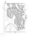 Fig. 31 - SEMI-AUTOMATIC EXTRACTION OF LINEAR FEATURES FROM IMAGE DATA INCLUDING PATH MATERIAL TYPE ATTRIBUTION