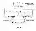 Fig. 05 - Method and apparatus for accelerated phase contrast magnetic resonance angiography and blood flow imaging