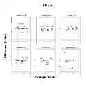 Fig. 07 - Method and apparatus for accelerated phase contrast magnetic resonance angiography and blood flow imaging