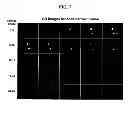 Fig. 08 - Method and apparatus for accelerated phase contrast magnetic resonance angiography and blood flow imaging