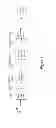 Fig. 02 - Progressive decision for cellular process selection