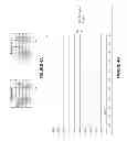 Fig. 06 - Creation of a color profile of an image