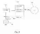 Fig. 16 - Digital Video Recording System