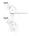 Fig. 04 - Image forming apparatus that changes a developing bias or surface potential