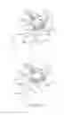 Fig. 22 - Process cartridge, electrophotographic image forming apparatus, and electrophotographic photosensitive drum unit