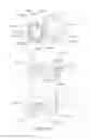 Fig. 30 - Process cartridge, electrophotographic image forming apparatus, and electrophotographic photosensitive drum unit