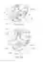 Fig. 40 - Process cartridge, electrophotographic image forming apparatus, and electrophotographic photosensitive drum unit
