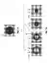Fig. 08 - Electrographic printing of tactile images