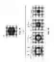 Fig. 08 - Electrographic tactile image printing system