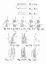 Fig. 05 - DEVICE FOR APPLYING A COMPOSITION TO KERATINOUS FIBERS