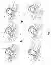 Fig. 05 - Sliding pin type floor latch