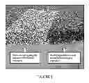 Fig. 02 - APPLICATION OF HIGH TOUGHNESS, LOW VISCOSITY NANO-MOLECULAR RESIN FOR REINFORCING POTHOLE PATCHING MATERIALS IN ASPHALT AND CONCRETE BASE PAVEMENT