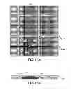 Fig. 33 - Method and apparatus for a dynamic air cushion transport system