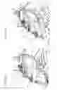 Fig. 08 - Working vehicle