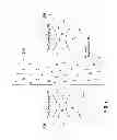 Fig. 08 - Suction header arrangement for oil management in multiple-compressor systems