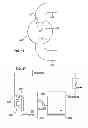 Fig. 12 - Suction header arrangement for oil management in multiple-compressor systems
