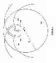 Fig. 06 - Fixed-vane positive displacement rotary devices