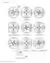 Fig. 29 - ROTATIONAL CLAP SUCTION/PRESSURE DEVICE