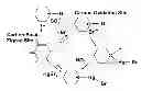 Fig. 01 - Sorbents for the oxidation and removal of mercury