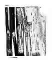 Fig. 05 - Filmy graphite and process for producing the same
