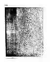 Fig. 09 - Filmy graphite and process for producing the same