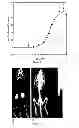 Fig. 05 - Conjugates and their uses in molecular imaging