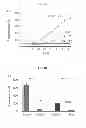 Fig. 09 - Imaging beta cell mass