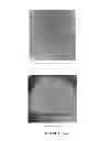 Fig. 06 - Nanoparticles delivery systems, preparation and uses thereof