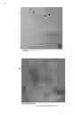 Fig. 07 - Nanoparticles delivery systems, preparation and uses thereof