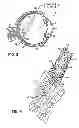 Fig. 03 - Methods to regulate polarization and enhance function of cells