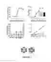 Fig. 03 - PROCESS FOR DELIVERING ENCAPSULATED NEUTRAL BIOIMAGING MOLECULES, COMPLEX, AND PROCESS THEREOF