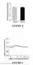 Fig. 04 - PROCESS FOR DELIVERING ENCAPSULATED NEUTRAL BIOIMAGING MOLECULES, COMPLEX, AND PROCESS THEREOF