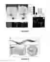 Fig. 06 - PROCESS FOR DELIVERING ENCAPSULATED NEUTRAL BIOIMAGING MOLECULES, COMPLEX, AND PROCESS THEREOF
