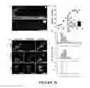 Fig. 08 - PROCESS FOR DELIVERING ENCAPSULATED NEUTRAL BIOIMAGING MOLECULES, COMPLEX, AND PROCESS THEREOF
