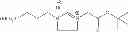 Fig. 08 - Nanoparticulate compositions for diagnostic imaging