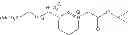 Fig. 28 - Nanoparticulate compositions for diagnostic imaging