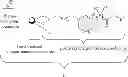Fig. 80 - Nanoparticulate compositions for diagnostic imaging