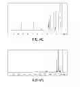 Fig. 06 - Functional fragrance precursor